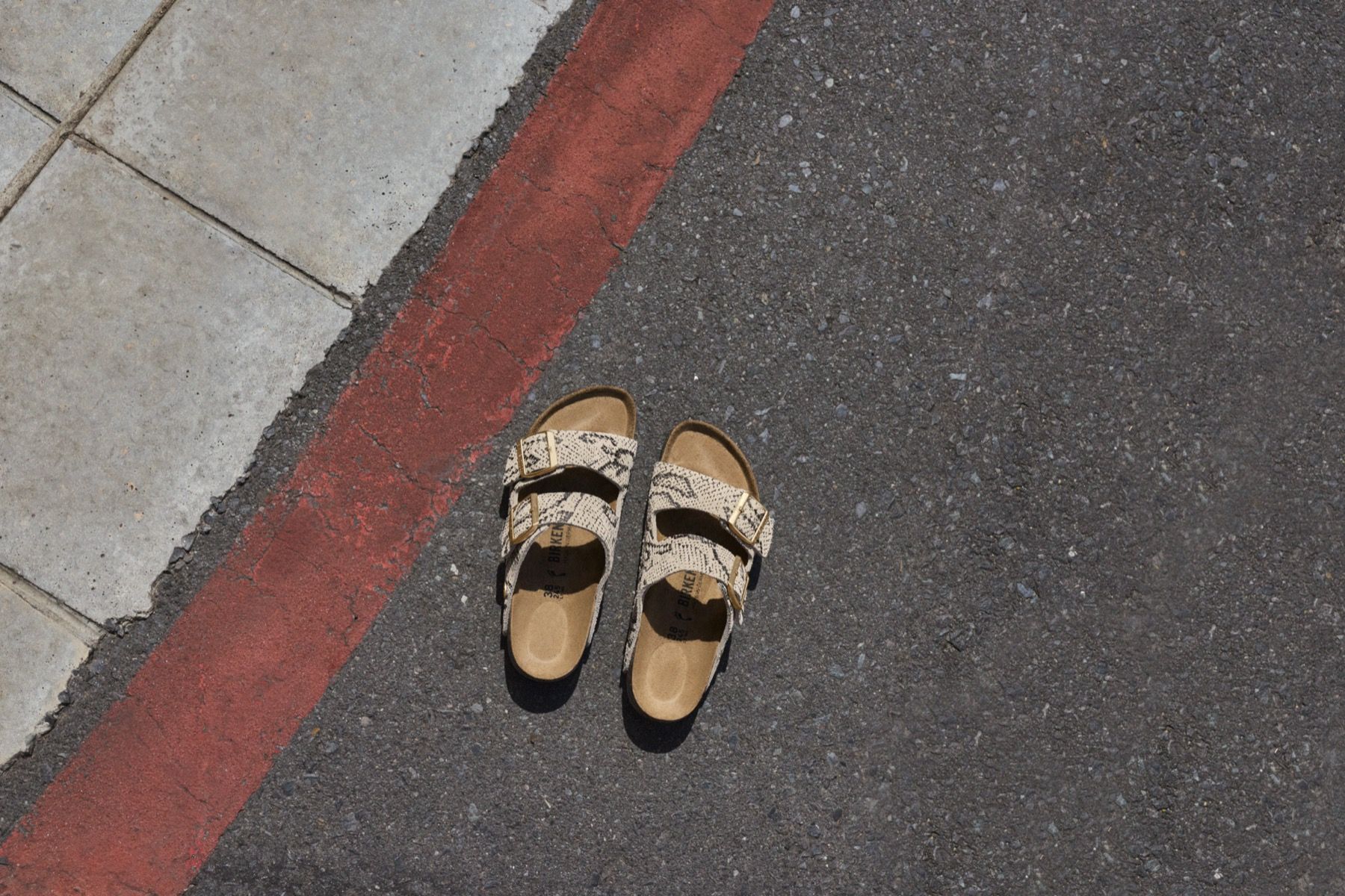 BIRKENSTOCK presenta “ANIMAL PACK” I modelli iconici cambiano look nella campagna Natural Interaction | Image 623715
