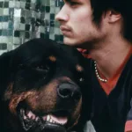 Gael García Bernal erinnert sich sehr gut an die Premiere von „Amores Perros“ Ein klarer und bewegender Bericht des Schauspielers und Regisseurs anlässlich der Ankunft des Films auf Mubi Italia