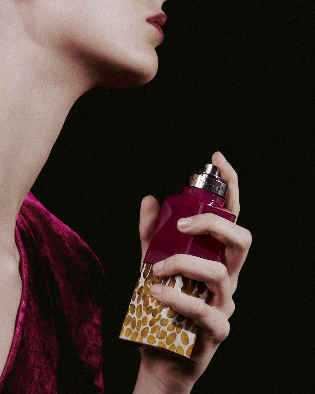 Dries Van Noten Beauty presents Velvet Violet An ode to one of the most enigmatic flowers in perfumery