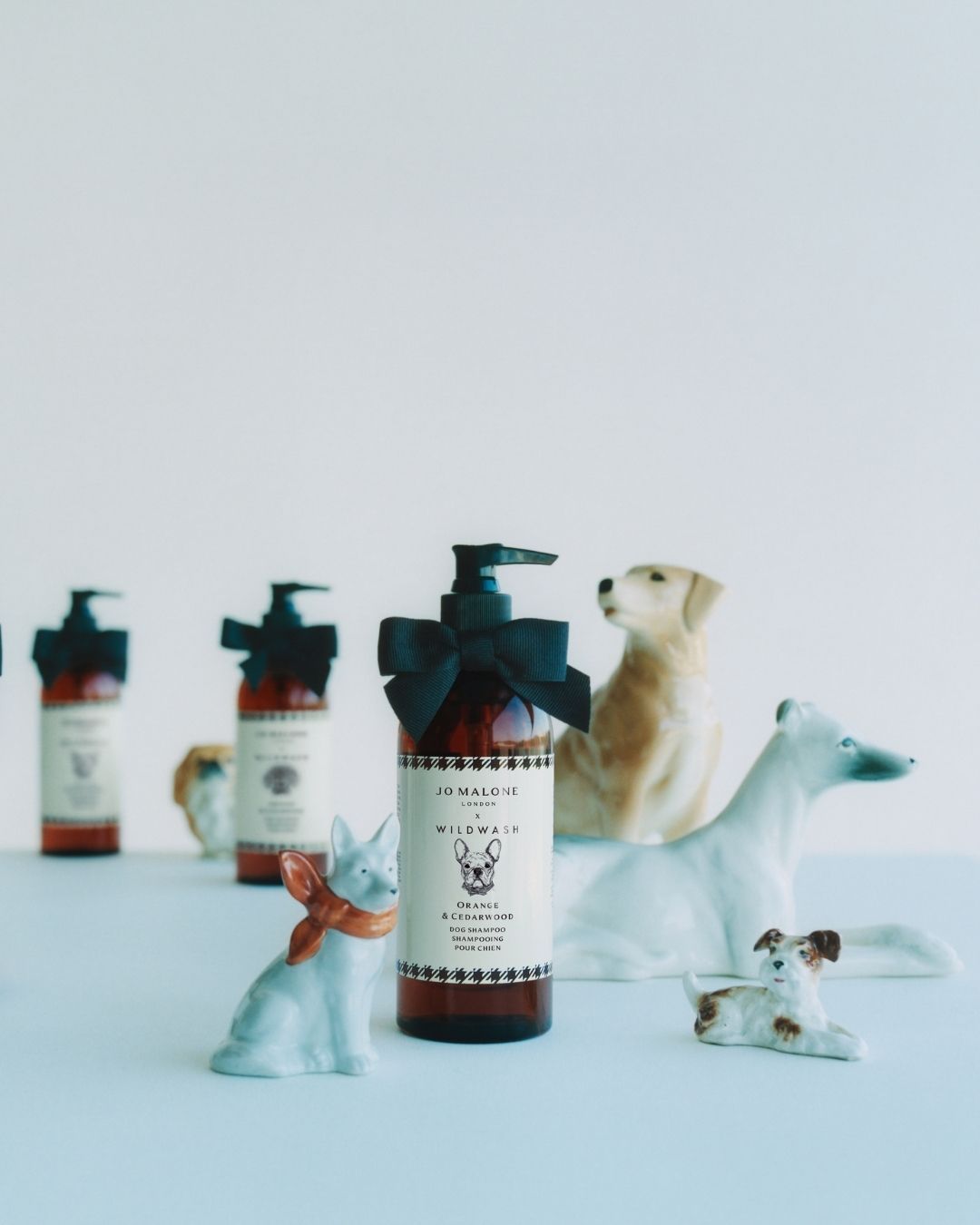 Jo Malone hat ein Shampoo für Hunde auf den Markt gebracht In Zusammenarbeit mit WildWash und mit Hilfe von Blue, Tom Hardys französischer Bulldogge