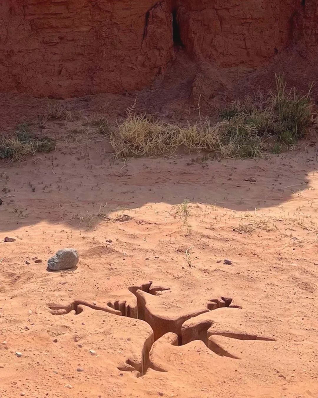 Quelques anecdotes sur Willy le Coyote À quoi s’attendre du nouveau film consacré à l’un des personnages les plus emblématiques de l’univers des Looney Tunes