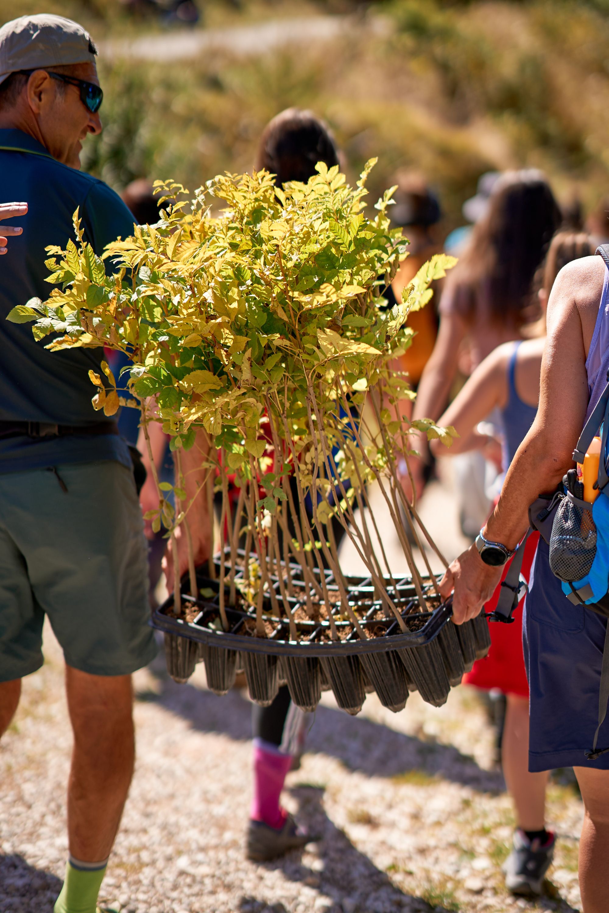 VAIA's “The Forest of Innovators” is back on Monte Panarotta A day of talks, workshops and the planting of 1,000 trees to understand where we are focusing our attention | Image 631953