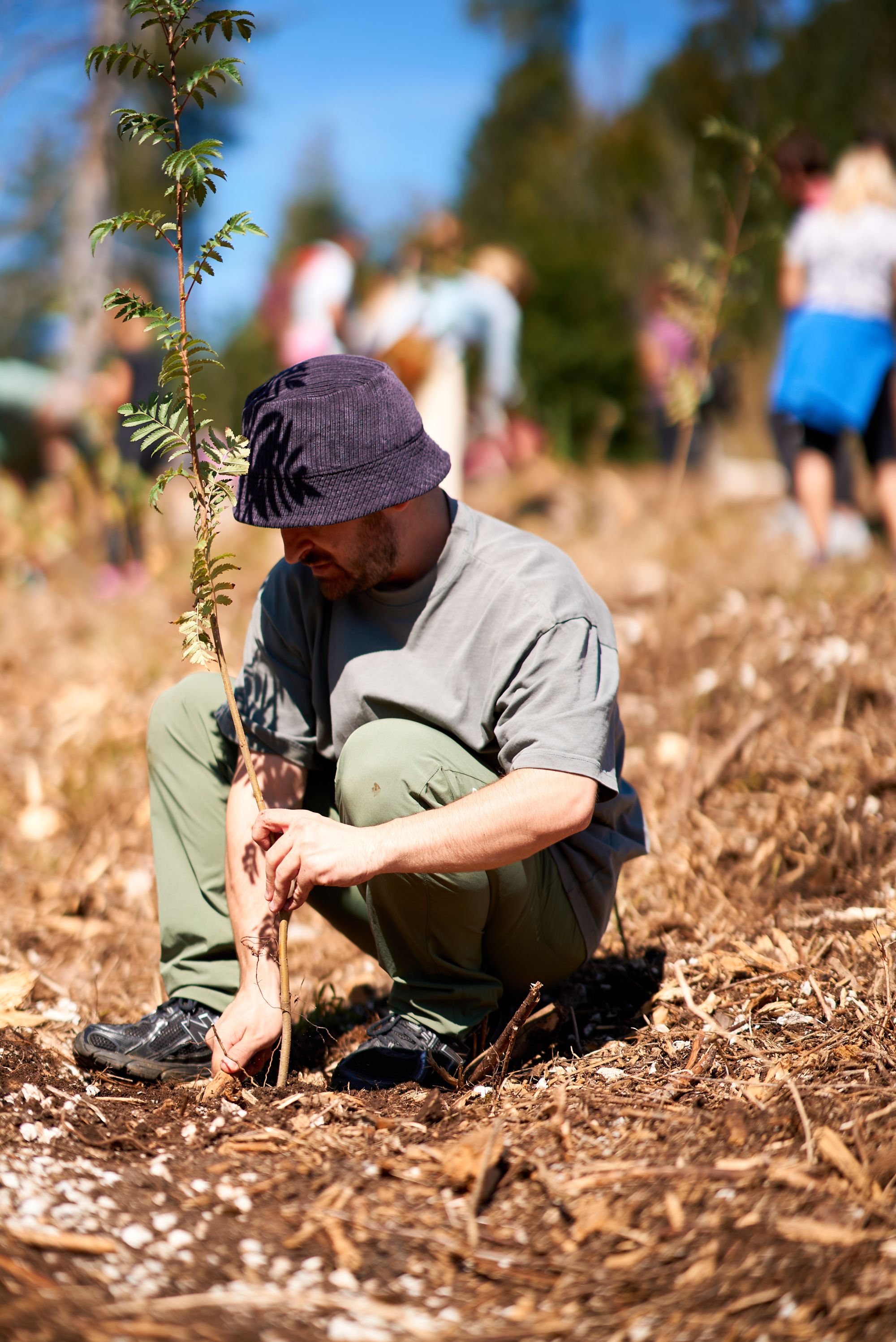 VAIA's “The Forest of Innovators” is back on Monte Panarotta A day of talks, workshops and the planting of 1,000 trees to understand where we are focusing our attention | Image 631952