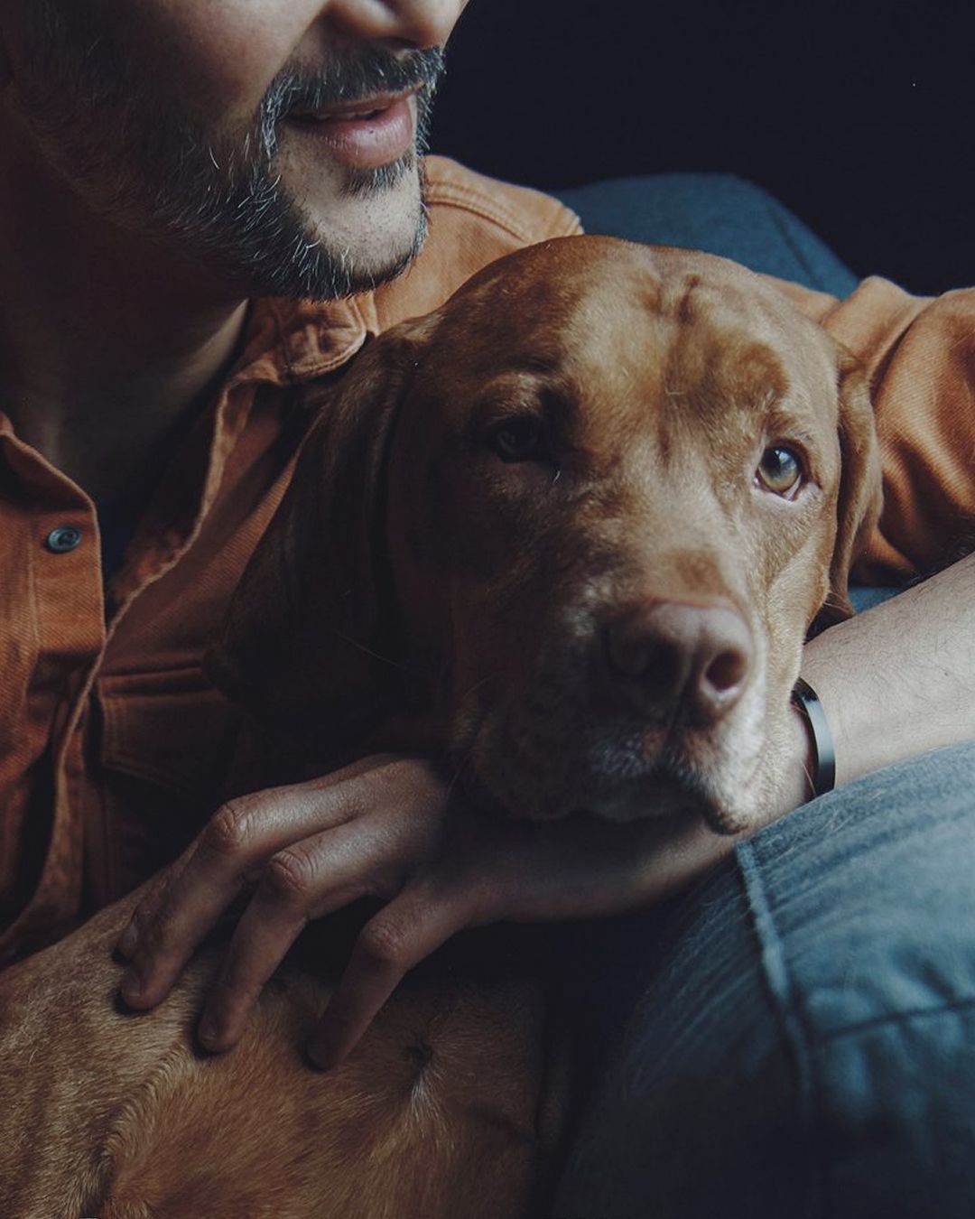Understanding the success of pet communicators on TikTok The phenomenon of pet psychics and what science says about the minds and communication of animals