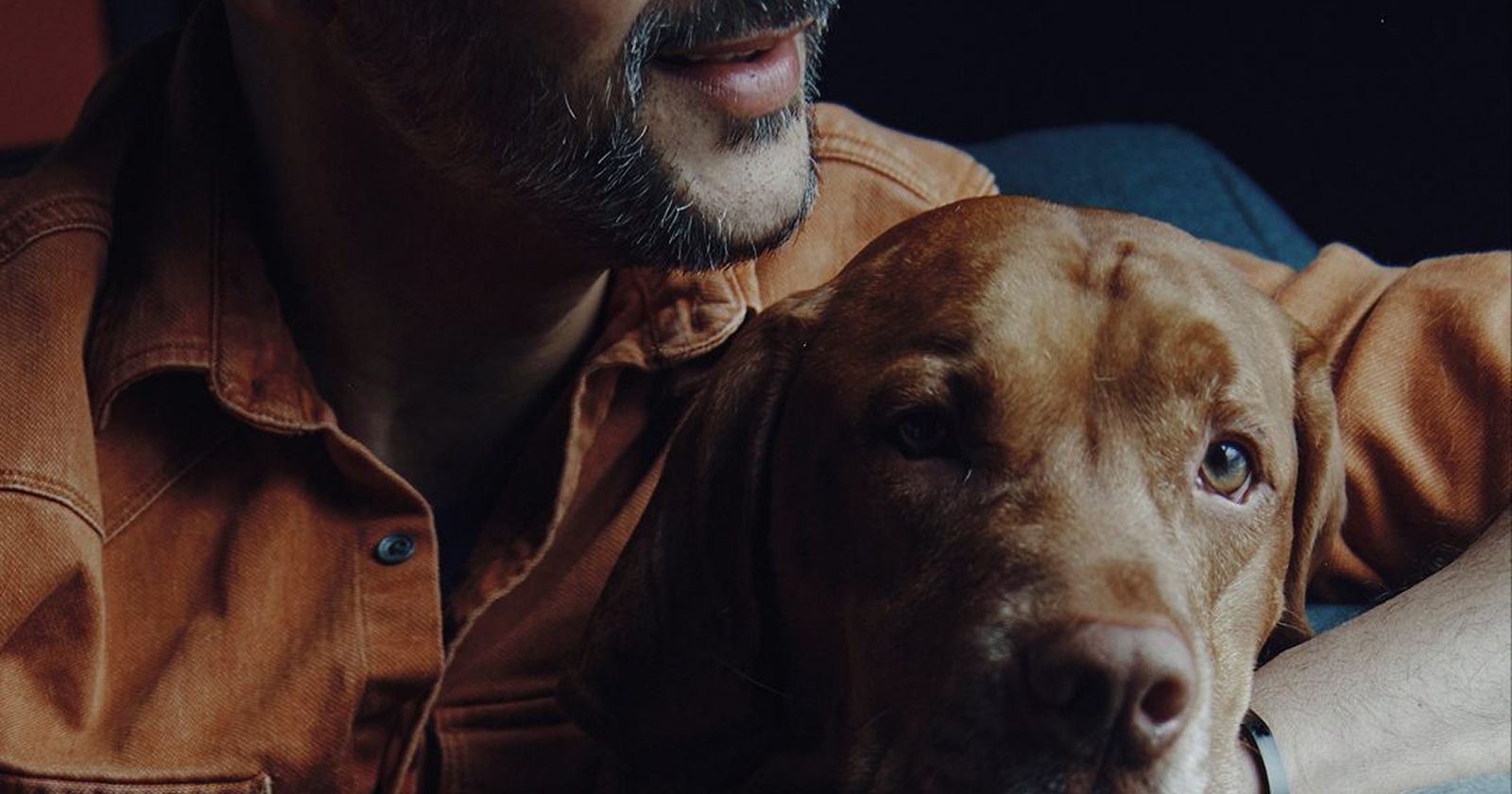 Pet communicators: why they are so popular on TikTok