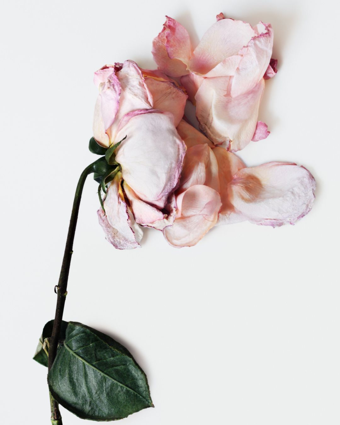 How many times do we say 'I'm fine' and do we really mean it? Lancôme presents 'I'm Fine', to address issues related to female anxiety and depression