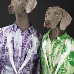 Acne SS2013 Campaign Fashionable dogs for Acne