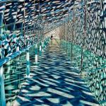 Archistar Quando l'architettura del museo ruba la scena al suo contenuto