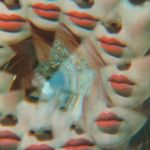 L'Estate attraverso le fotografie di Shae Detar